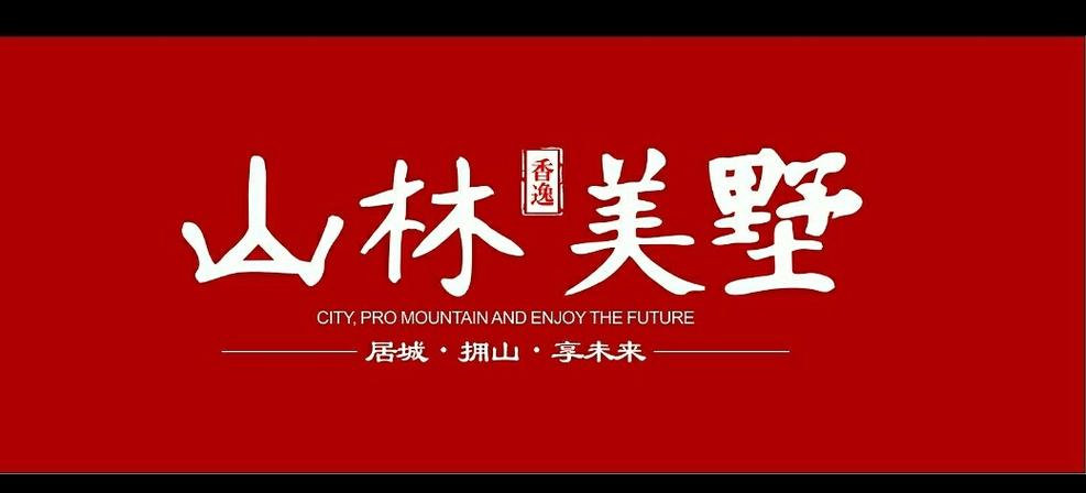 我团设计师设计的各类,公司简介,海报,logo.wx球球:叁玖柒捌零柒壹贰